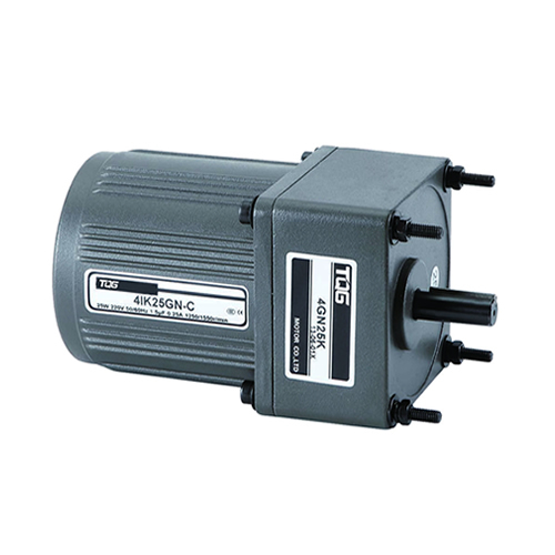 Catalog of AC & DC Small Gear Motor