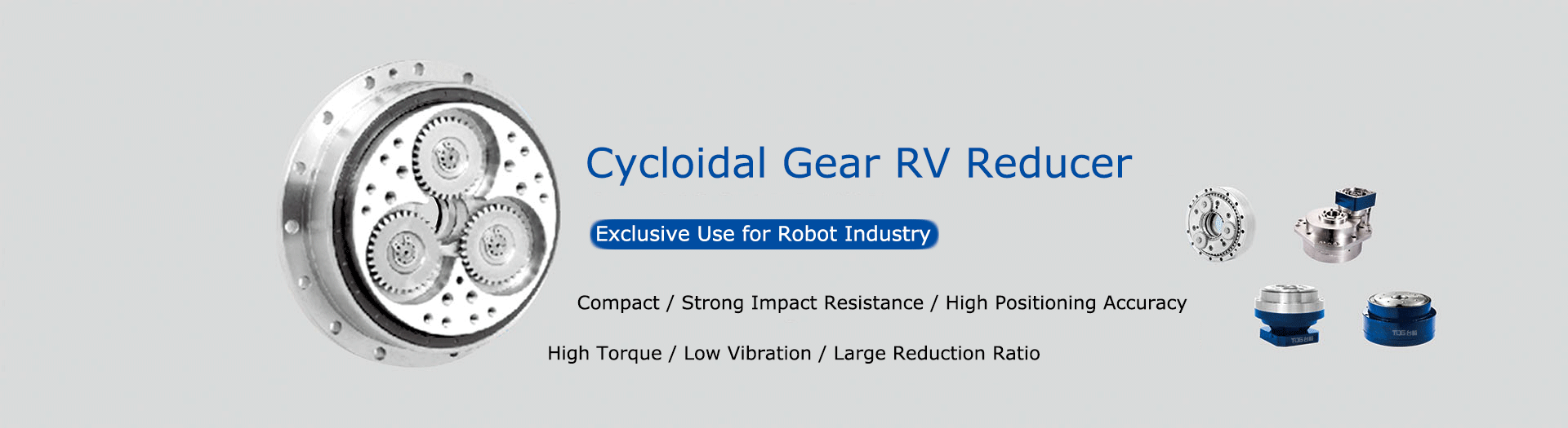 robot RV reducer